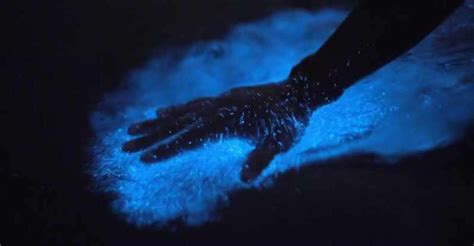 Kayaking in Laguna Grande Bioluminescent Bay | Water Activity in Fajardo