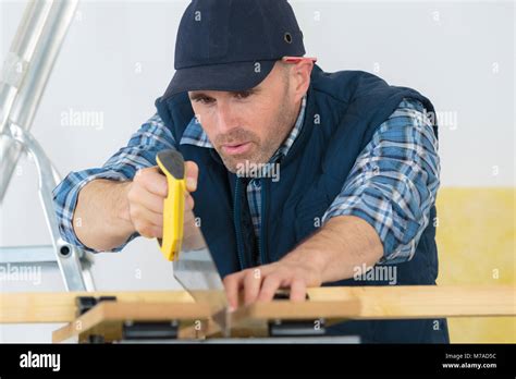 Carpenter 的图像结果