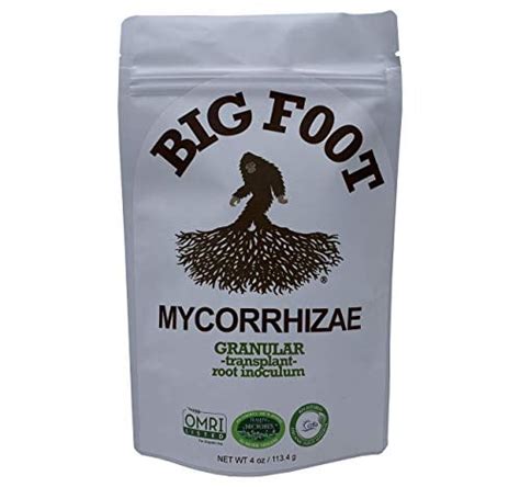 Big Foot Organic Mycorrhizal Granular Fungi India | Ubuy
