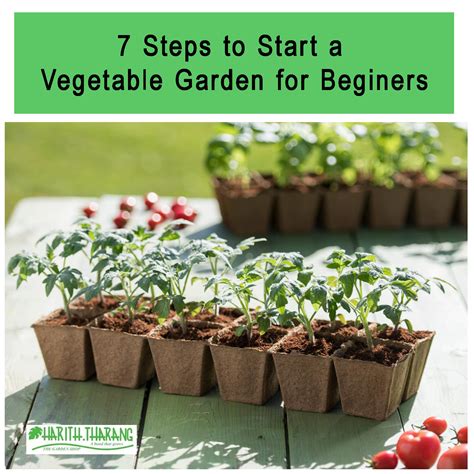 7 Steps to Start Vegetable Garden for Beginners – hariththarang