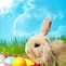 Image result for Easter Bunny Pic with Eggs