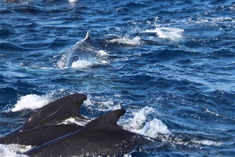 So etwas haben wir noch nie gesehen