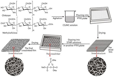 Effect of Sodium Trimetaphosphate on Chitosan-Methylcellulose Composite ...