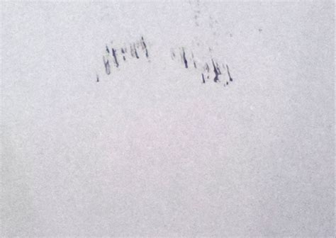 Smushed On Copy Machine 的图像结果