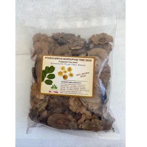 Buy Pterocarpus Marsupium (Vengai) Tree Seed Online | BigHaat