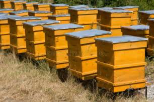 Beehives 库存照片. 图片 包括有 弄脏之前, 丰富, 健康, 改善, 棚车, 昆虫, 蜂箱, 敌意 - 10649202