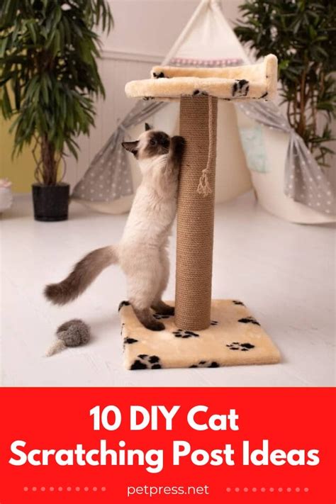 Image result for Cat Scratching Post