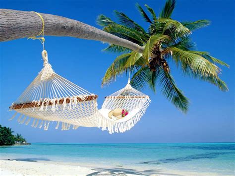 Download Palm Trees Beach Summer Vacation Hammock Wallpaper ...