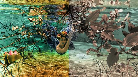 Image result for Architectural Color Grading