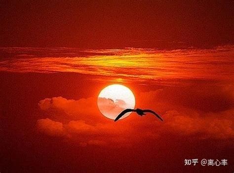 夕阳西下的唯美句子及图片_句子豆