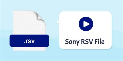 Sony RSV File Recovery – A Step-By-Step Guide