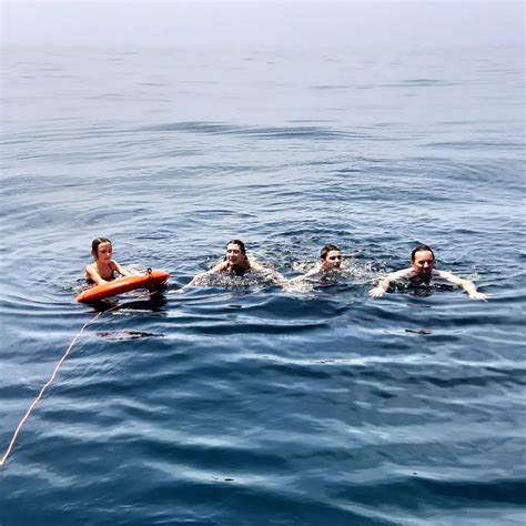 Sailing Sim 的图像结果