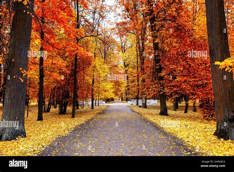 Image result for Beautiful Autumn Fall