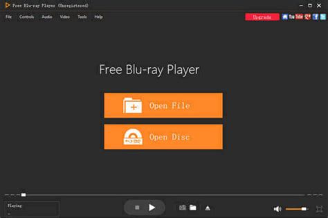 BUP File Player 的图像结果