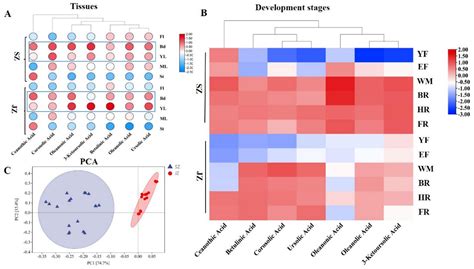 Metabolite and Gene Expression Analysis Underlying Temporal and Spatial ...