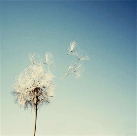 beautiful, blow and childhood - image #23855 on Favim.com