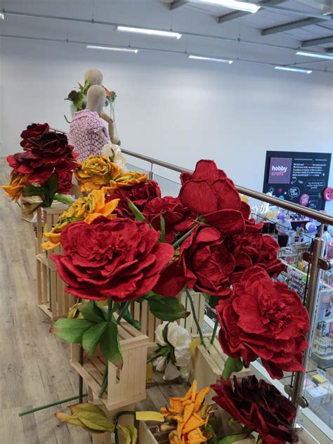 Image result for Hobby Craft Store