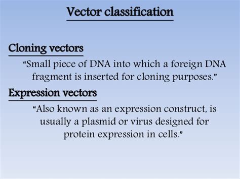 Image result for Types of Vector Drawing