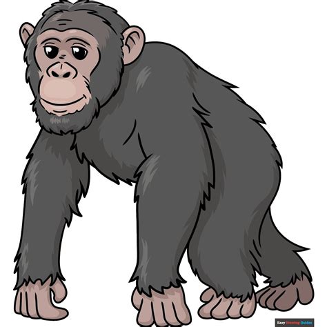 Easy Step-by-Step Chimpanzee Drawing Tutorial