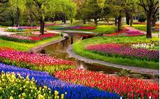 Hd Garden Wallpaper by Garden Flower Hd Wallpapers Hd Garden Wallpaper