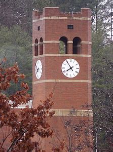 Image result for Text Summarization Using LLM