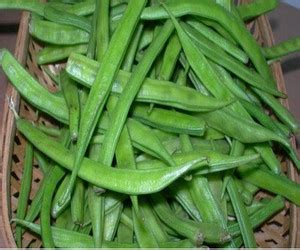 WATIKA Cluster Beans Gawar Phali Seed Price in India - Buy WATIKA ...