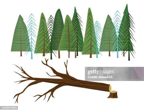Image result for Cartoon Tree Trunk