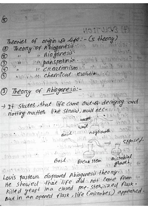 Image result for Class 12 Evolution