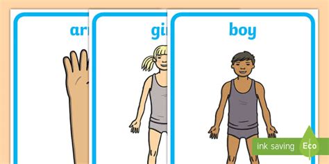 Parts of the Body Display Posters
