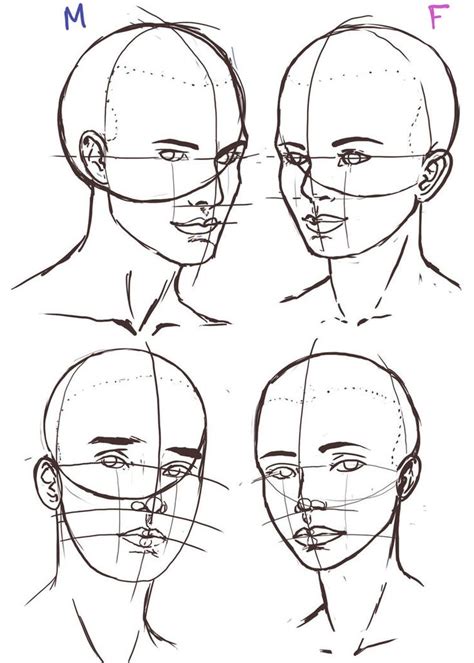 face drawing reference easy