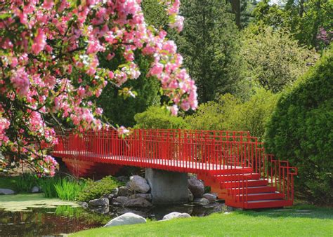 Dow Gardens - Papirio