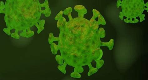 Coronaviruses and 5 other deadliest viruses on earth | TheHealthSite.com