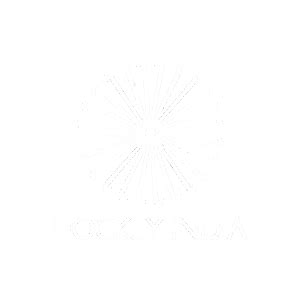 About Us – Campaign Scout Network