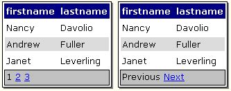 Primer DataGrid Web Python 的图像结果