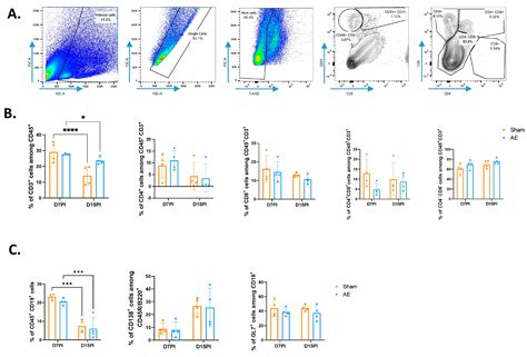 Specific and Polyfunctional T Cell Response Against N-Methyl-d ...