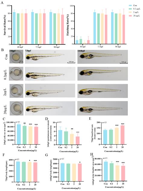 Investigation of the Neurotoxic Effects and Mechanisms of Michler’s ...