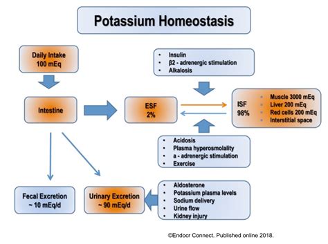 Hypokalemia Emergency Management | RECAPEM