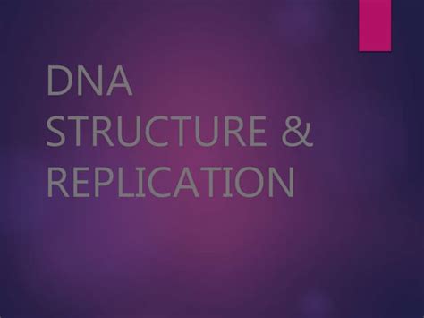 DNA Structure and Replication 的图像结果
