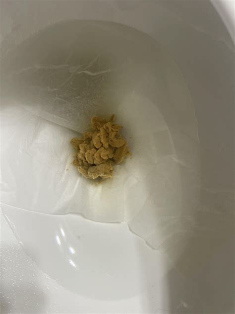 Image result for Flat Poop