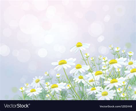 Spring Vector Graphics 的图像结果