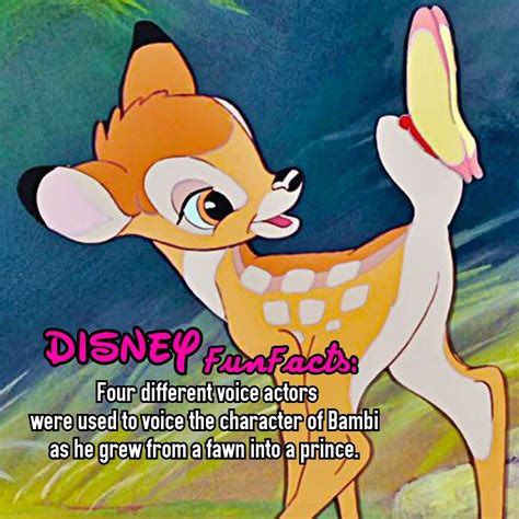10 Unbelievable Facts About The Bambi Doe Leak You Wont Believe 20 Thumper