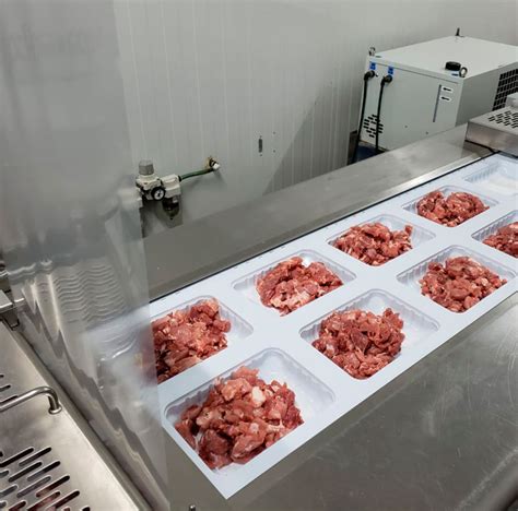 MUMA Logo 的图像结果