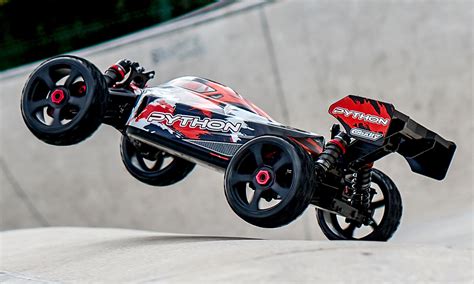 Image result for Corally Python