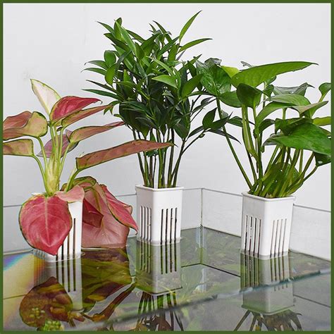 Plant Holder for Fish Tank Hangable Aquarium Decoration Planter Cups ...