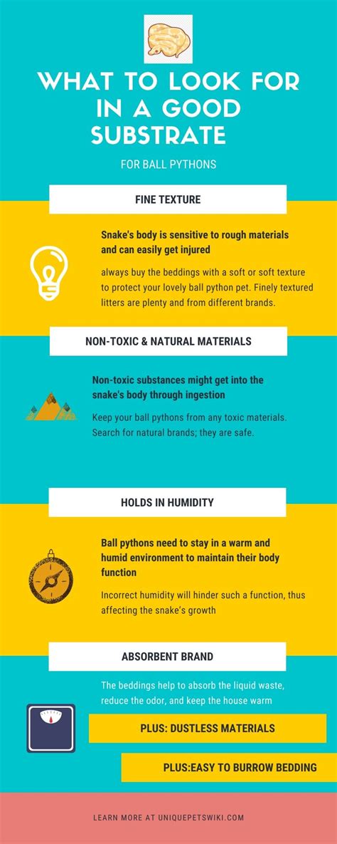 Image result for Ball Python Substrate