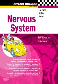 Image result for Crash Course Nervous System