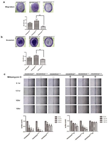 The Inhibition of Wnt Restrain KRASG12V-Driven Metastasis in Non-Small ...