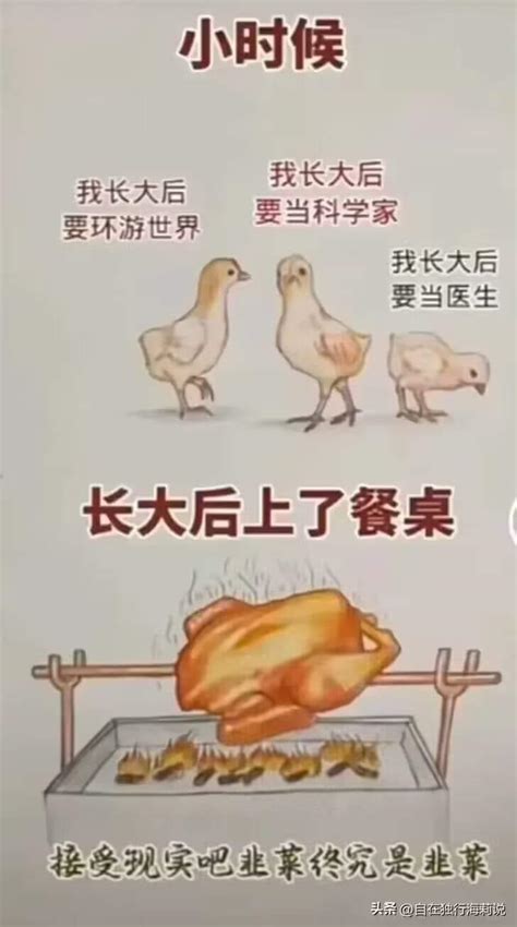 伟大鸡国梦 : r/LOOK_CHINA