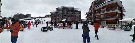 MGZAVREBI (Bakuriani) - Specialty Inn Reviews & Photos - Tripadvisor