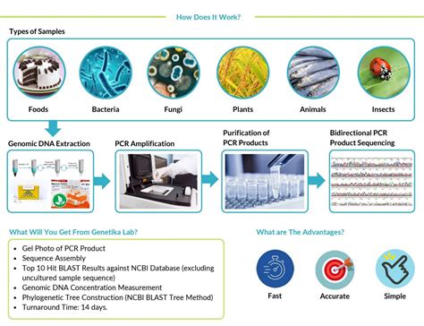 Image result for DNA Barcoding System